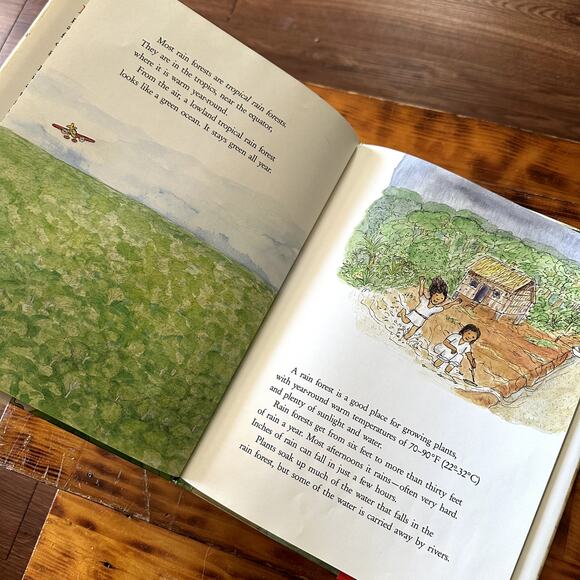 Vintage 1990 Rain Forest Secrets Hardcover Book - Picture 3 of 7